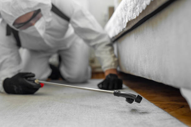 Professional Ant Control technician working in Hallettsville, TX