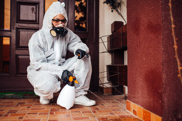 Reliable Ant Control contractor in Hallettsville, TX by Show Me Pest Control